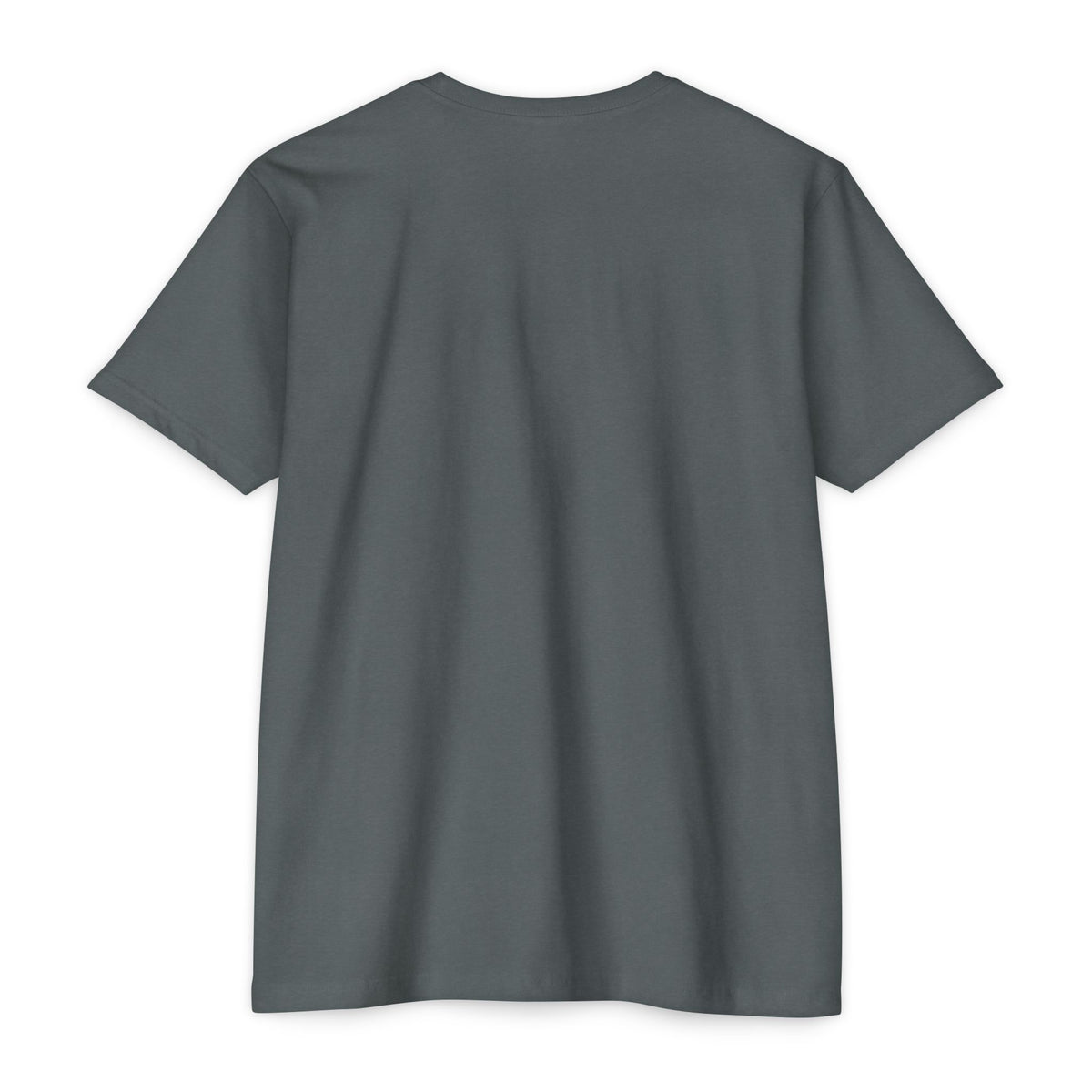 No Limit 337 Studio Gallery Variety Unisex CVC Jersey T-shirt