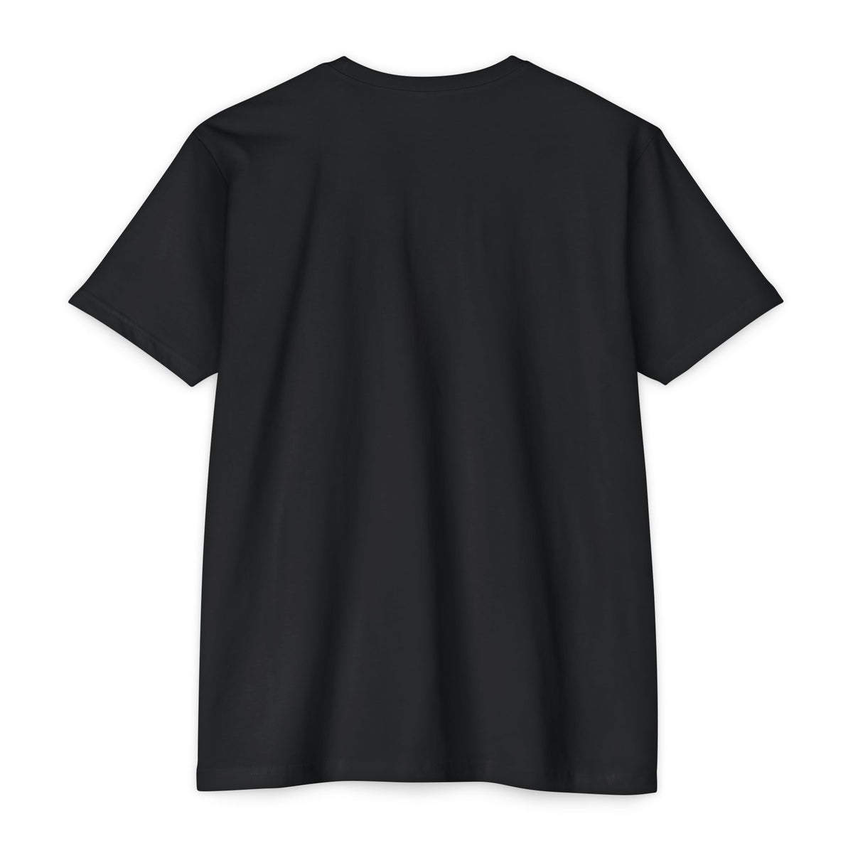No Limit 337 Studio Gallery Variety Unisex CVC Jersey T-shirt